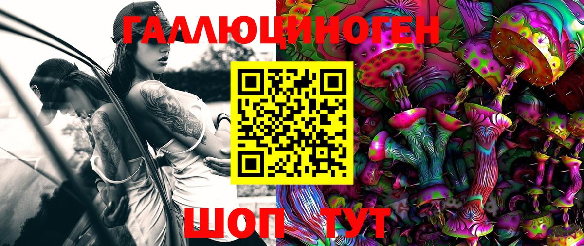 Галлюциногенные грибы Cubensis Шахты